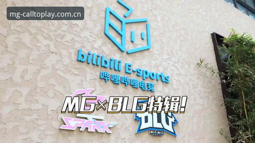 MG游戏平台官方入口详解：一个电竞数据用户的亲历笔记